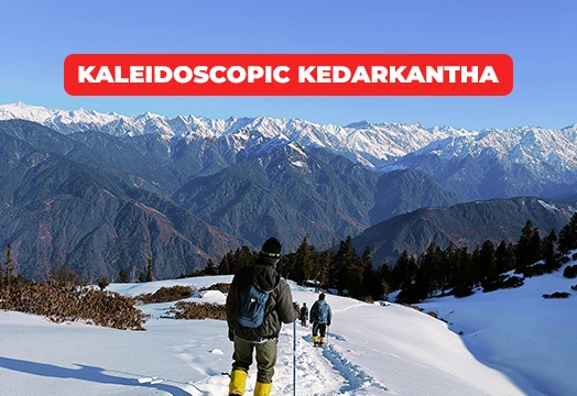 Kedarkantha Trek Adventure - Trek The Himalayas 